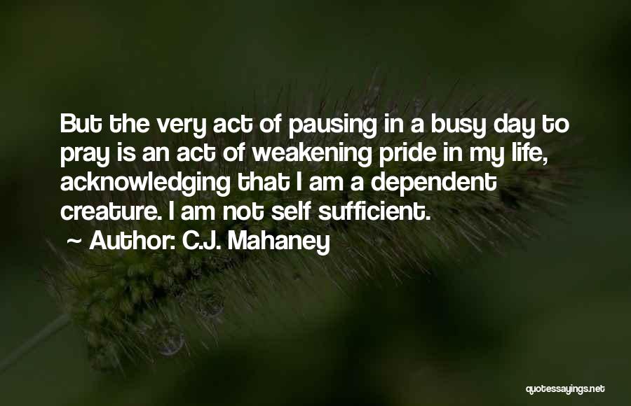 C.J. Mahaney Quotes 222208