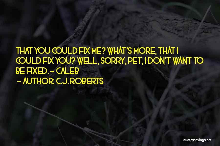 C.J. Roberts Quotes 1084412