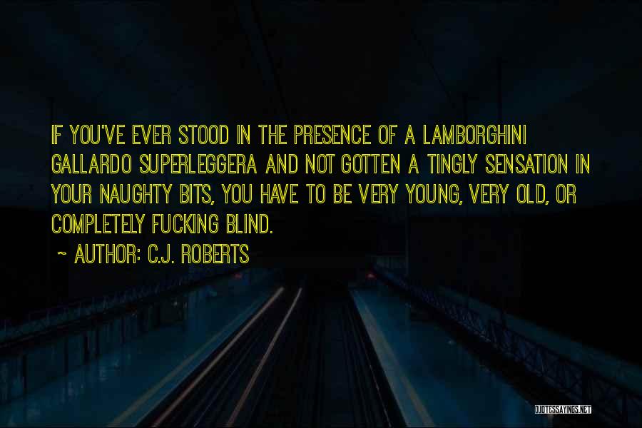 C.J. Roberts Quotes 1330076