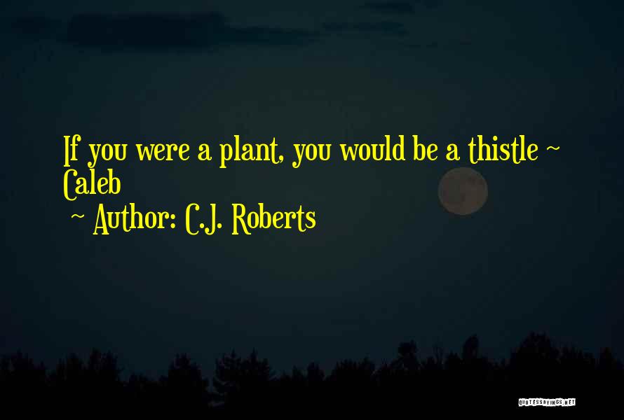 C.J. Roberts Quotes 376070