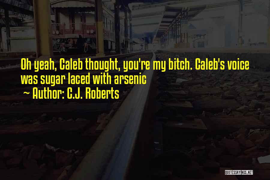 C.J. Roberts Quotes 619298