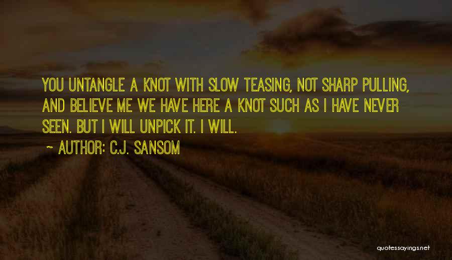 C.J. Sansom Quotes 833537