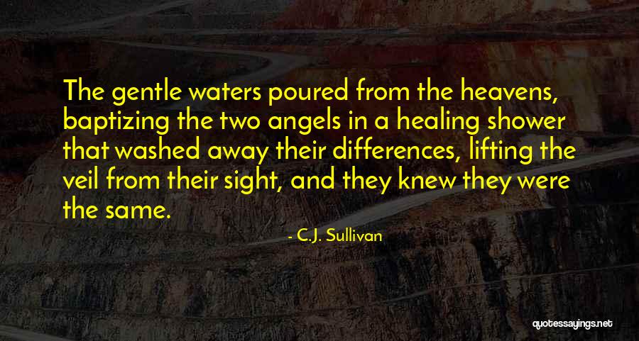 C.J. Sullivan Quotes 1021761 C.J. Sullivan Quotes 1021761