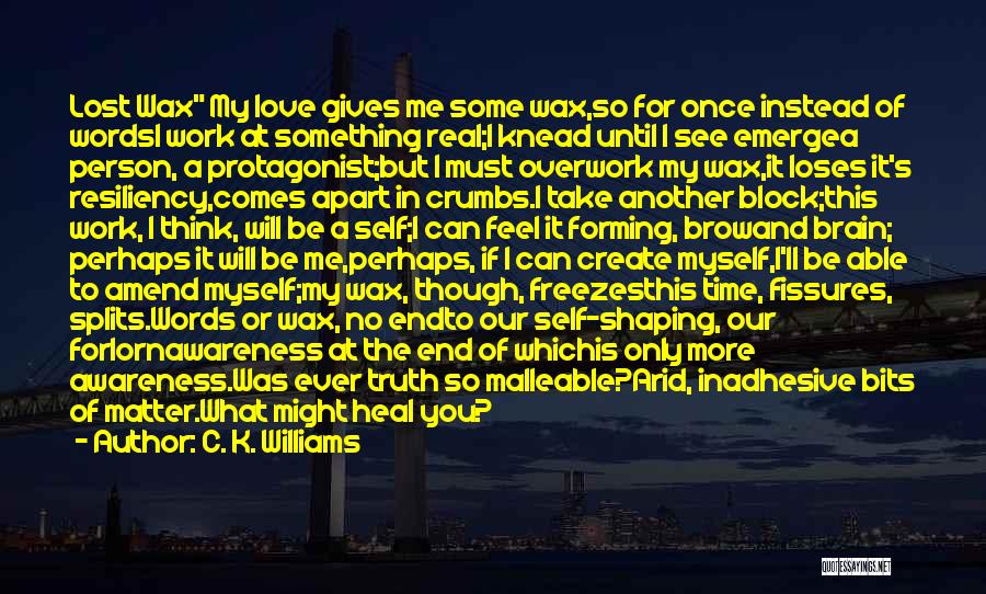 C. K. Williams Quotes 137917