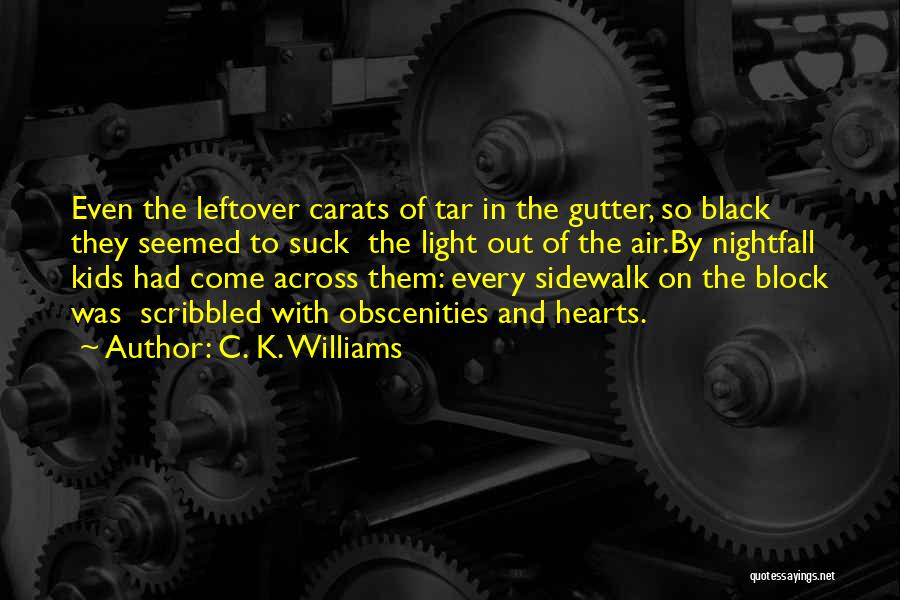 C. K. Williams Quotes 178871