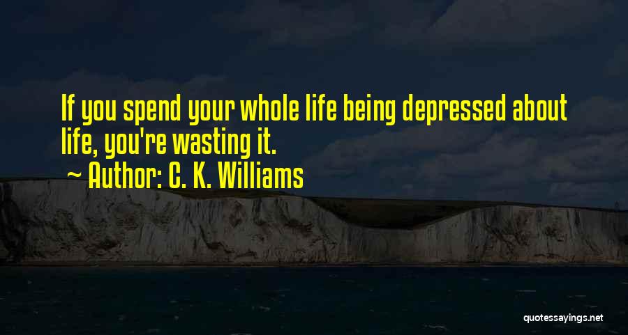 C. K. Williams Quotes 195171