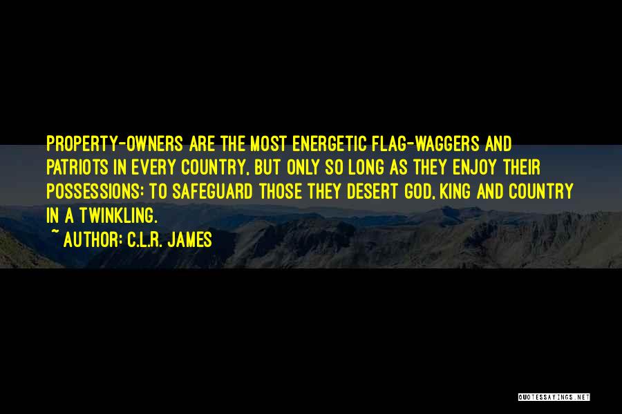 C.L.R. James Quotes 1049064