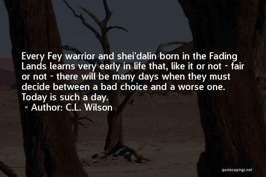 C.L. Wilson Quotes 1225892