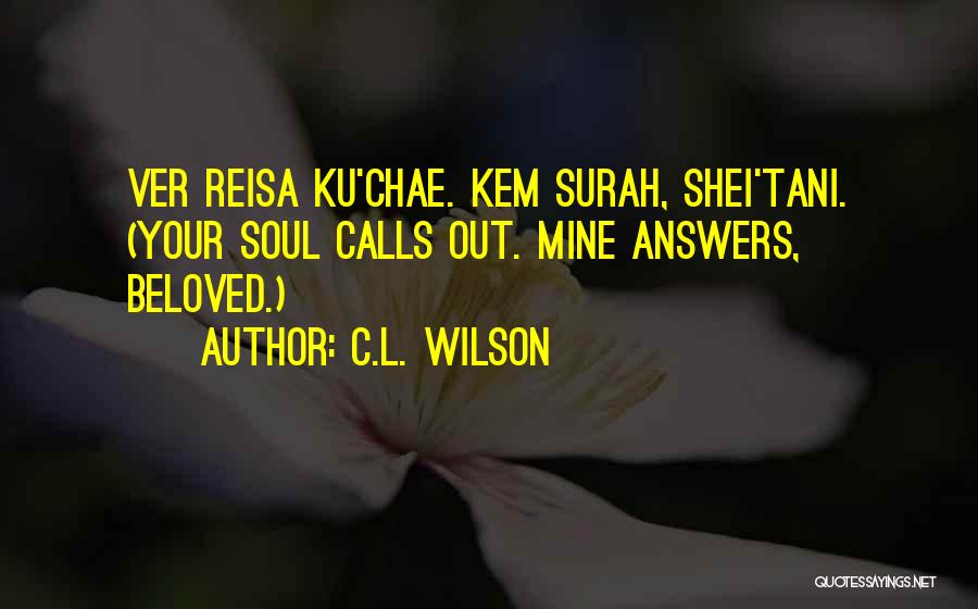 C.L. Wilson Quotes 2228121