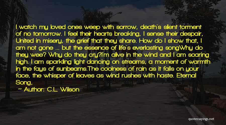 C.L. Wilson Quotes 811515