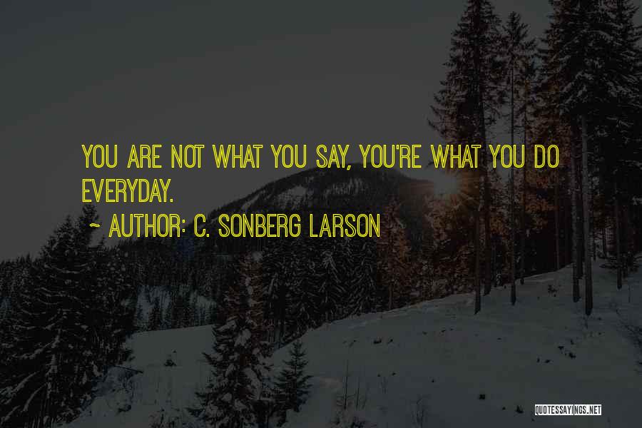 C Larson Quotes By C. Sonberg Larson