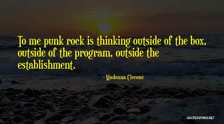 C M Punk Quotes By Madonna Ciccone