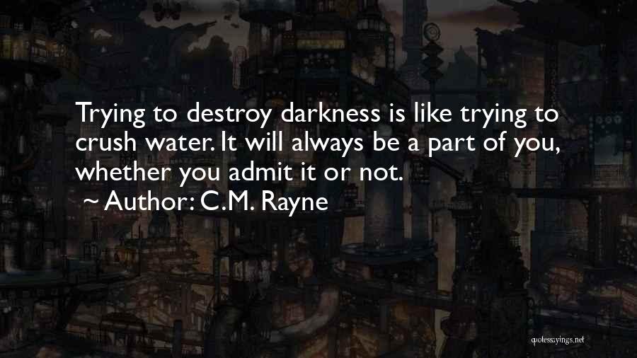 C.M. Rayne Quotes 324307