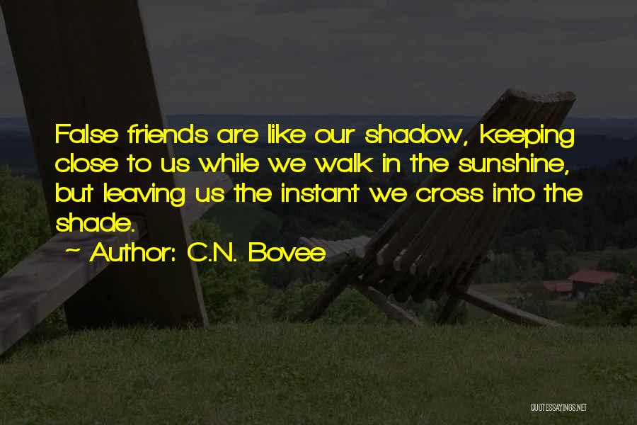C.N. Bovee Quotes 533731
