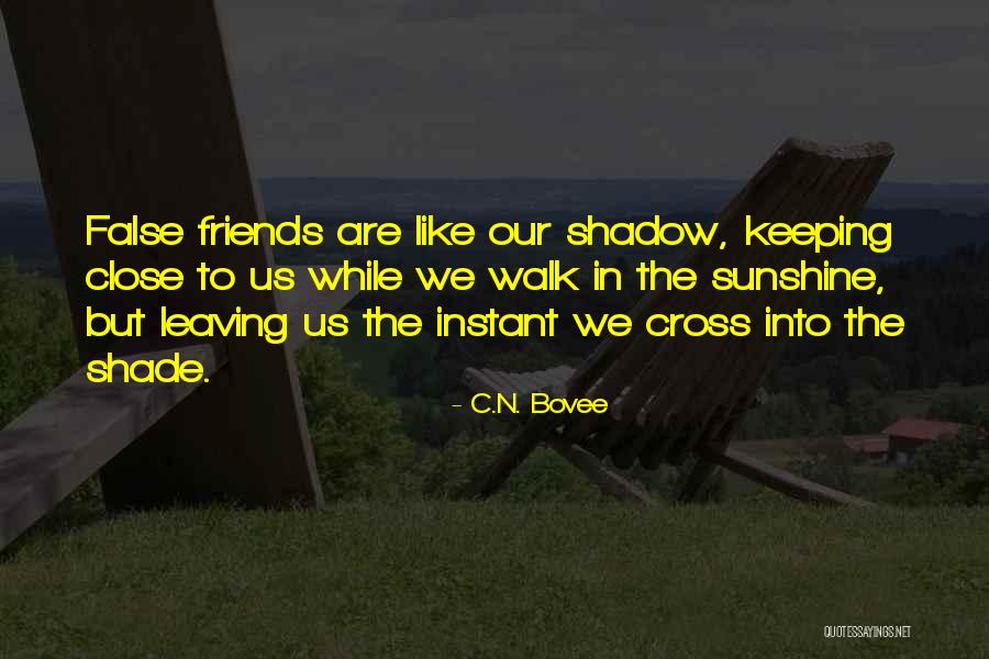 C.N. Bovee Quotes 533731