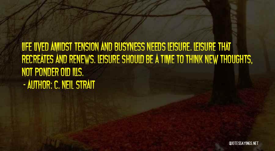 C. Neil Strait Quotes 169433