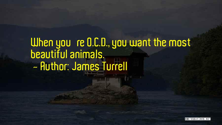 C.o.c Quotes By James Turrell