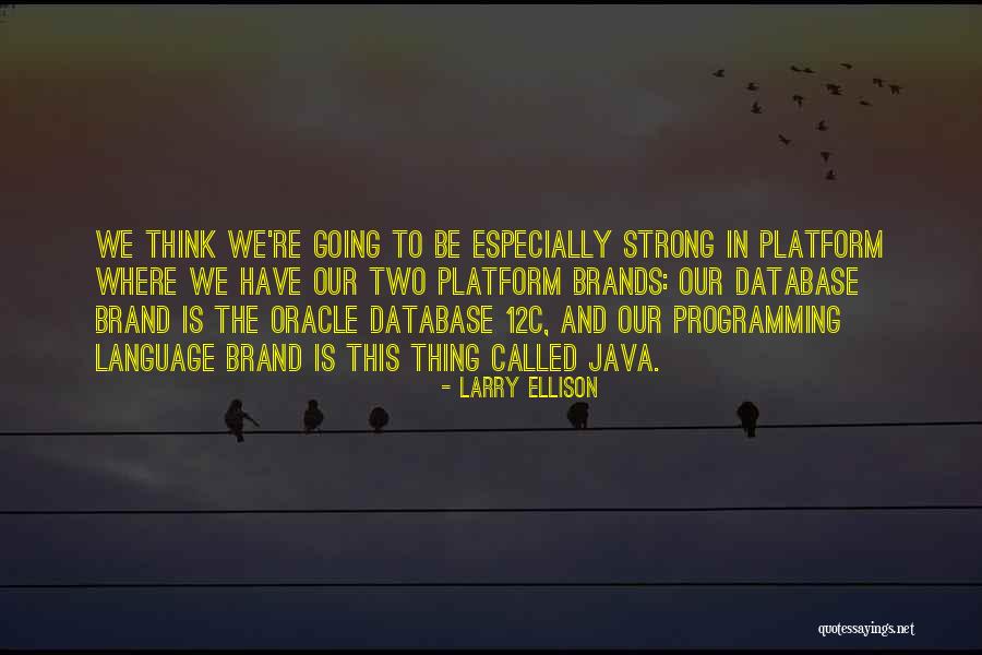 C Programming Language Quotes By Larry Ellison