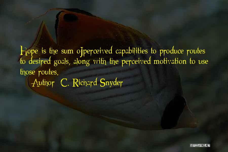 C. Richard Snyder Quotes 355856