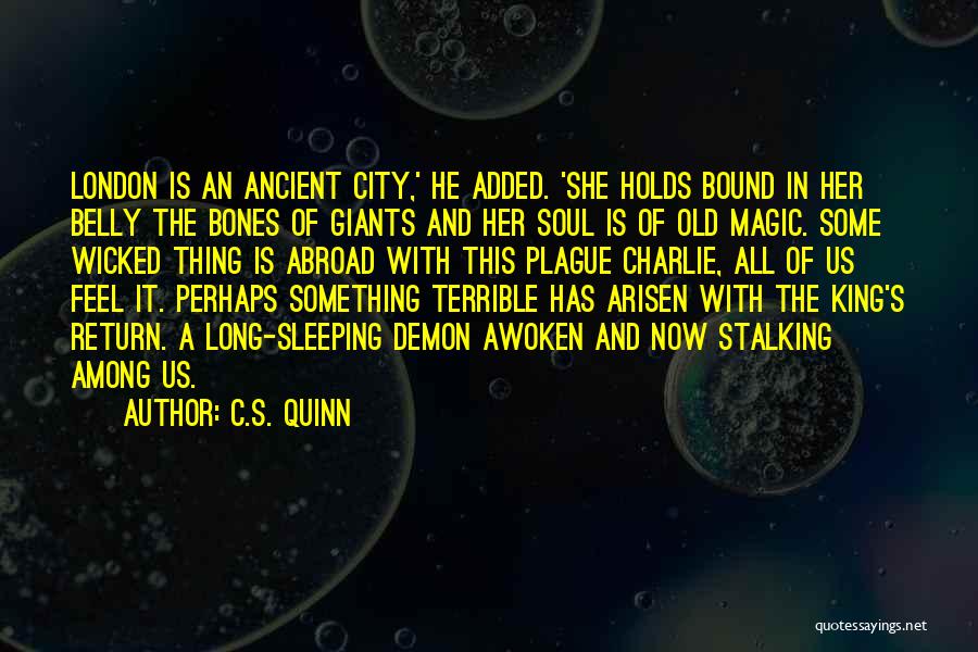 C.S. Quinn Quotes 1893480