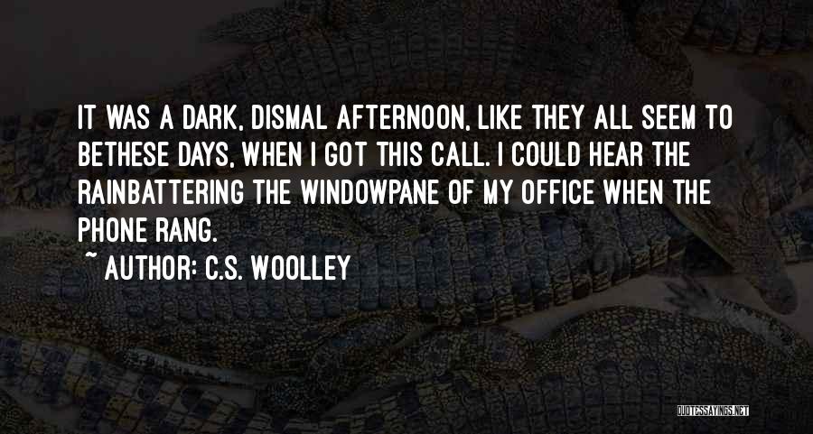 C.S. Woolley Quotes 295564