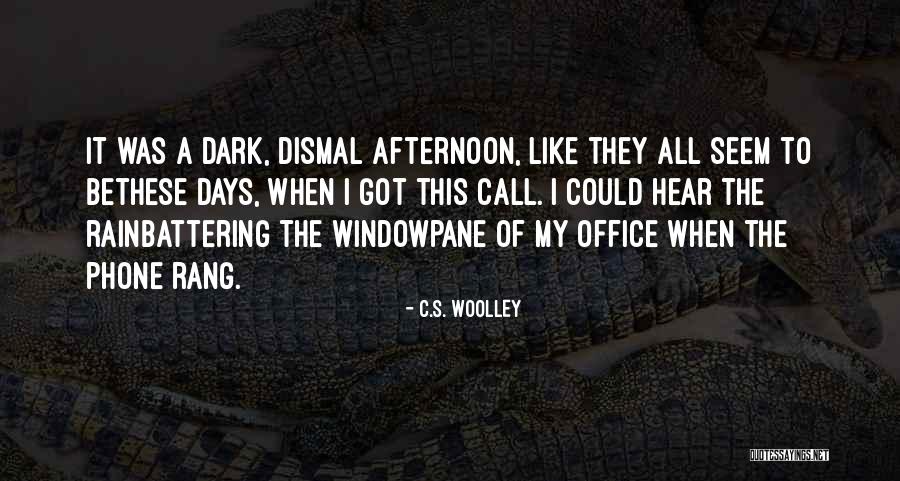 C.S. Woolley Quotes 295564