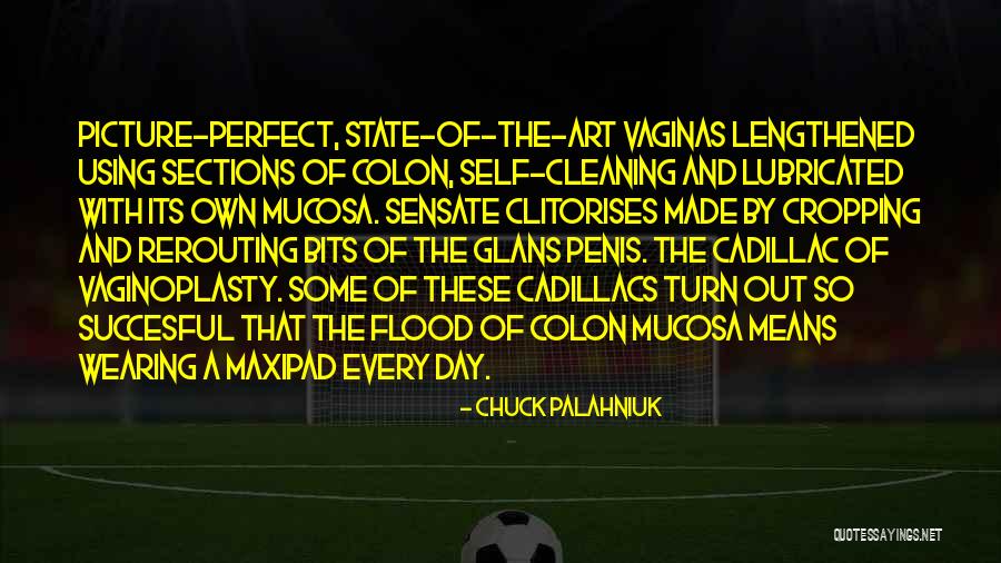 C Sections Quotes By Chuck Palahniuk C Sections Quotes By Chuck Palahniuk