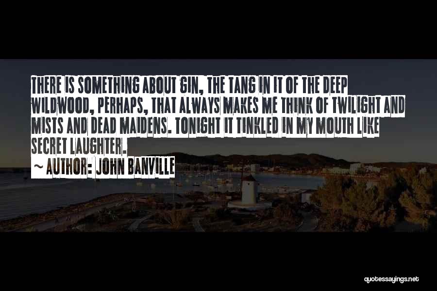 C Tang Quotes By John Banville