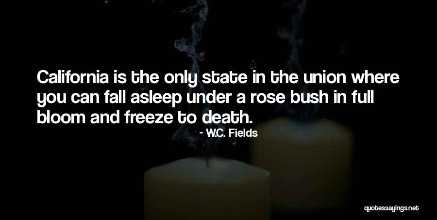 C W Fields Quotes By W.C. Fields C W Fields Quotes By W.C. Fields