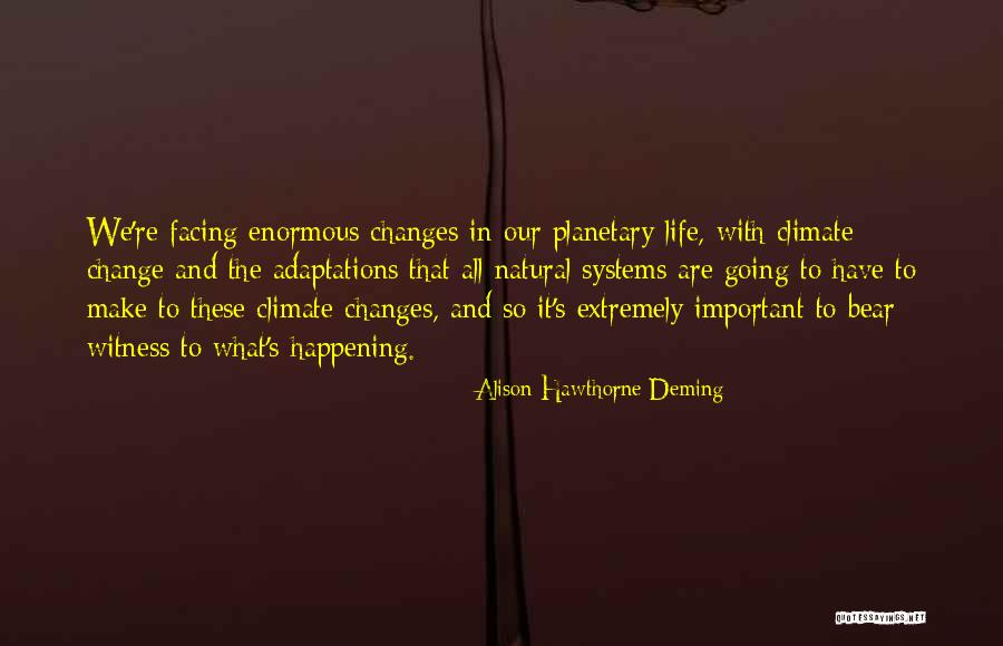 C2 Neck Quotes By Alison Hawthorne Deming C2 Neck Quotes By Alison Hawthorne Deming