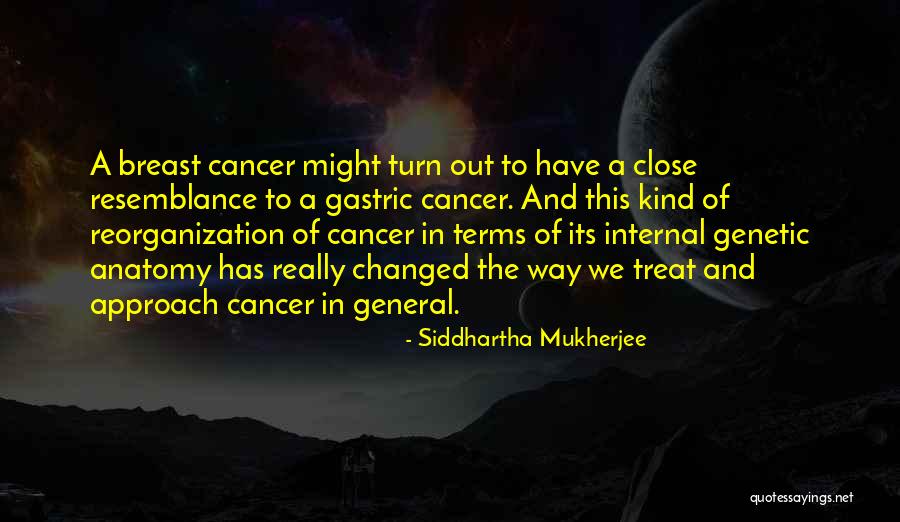 Cabalgatas Quotes By Siddhartha Mukherjee Cabalgatas Quotes By Siddhartha Mukherjee