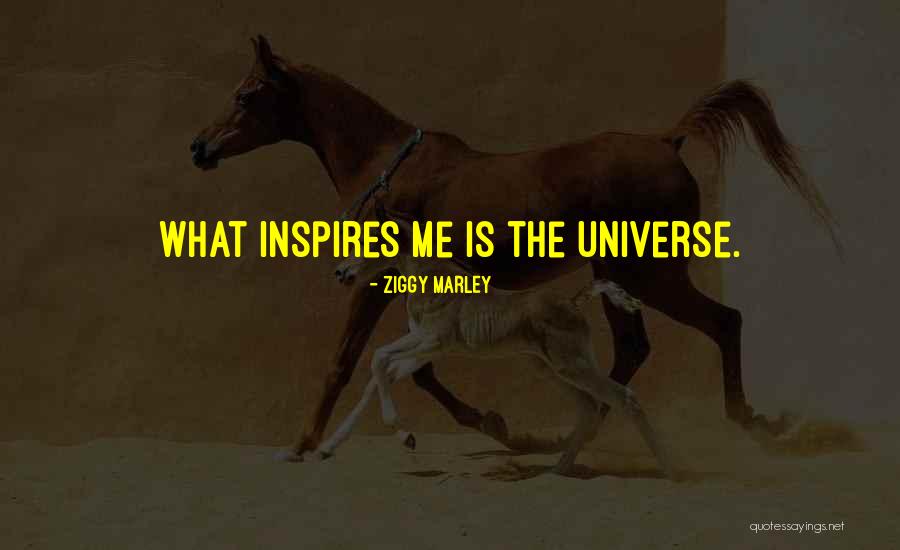 Caballero Rivero Quotes By Ziggy Marley Caballero Rivero Quotes By Ziggy Marley