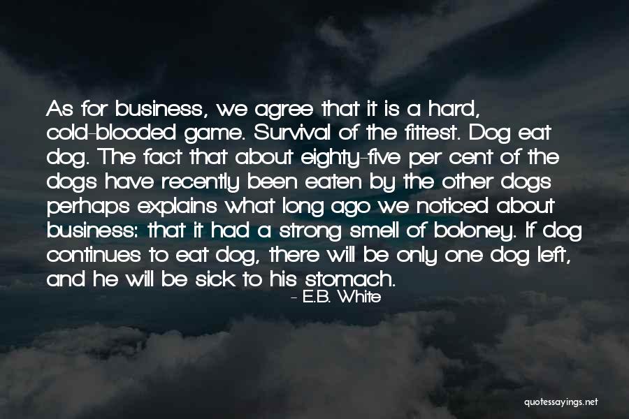 Caballero Ryder Quotes By E.B. White Caballero Ryder Quotes By E.B. White