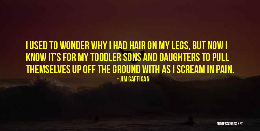 Cabanes A Sucre Quotes By Jim Gaffigan Cabanes A Sucre Quotes By Jim Gaffigan