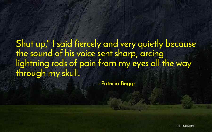 Cabellera Vertaling Quotes By Patricia Briggs Cabellera Vertaling Quotes By Patricia Briggs