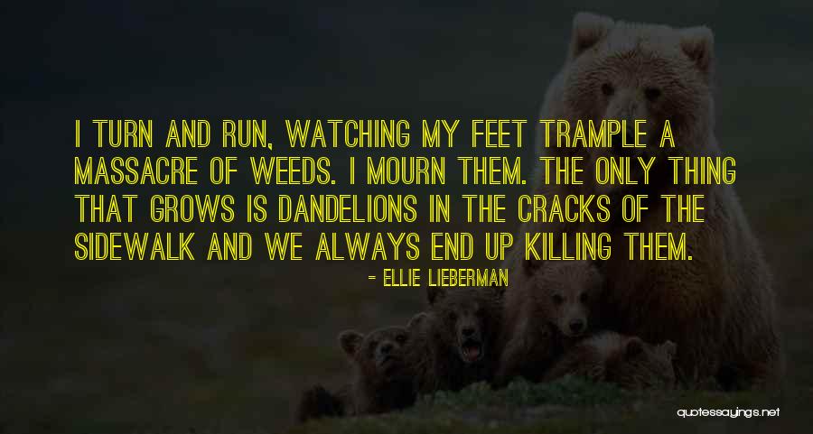 Cabernet Sauvignon Wine Quotes By Ellie Lieberman Cabernet Sauvignon Wine Quotes By Ellie Lieberman