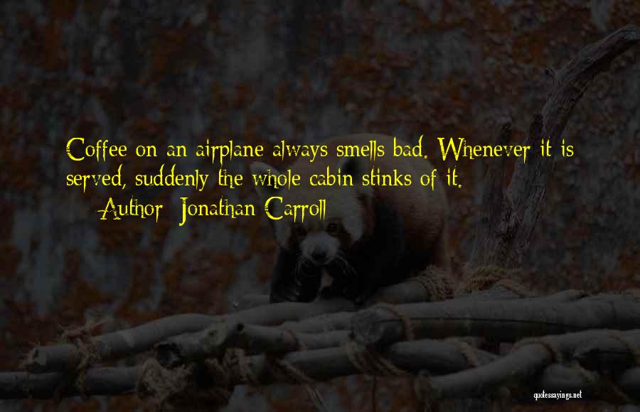 Cabin Quotes By Jonathan Carroll