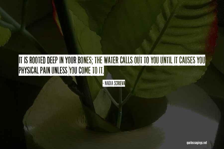 Cabinets Warehouse Quotes By Nadia Scrieva Cabinets Warehouse Quotes By Nadia Scrieva