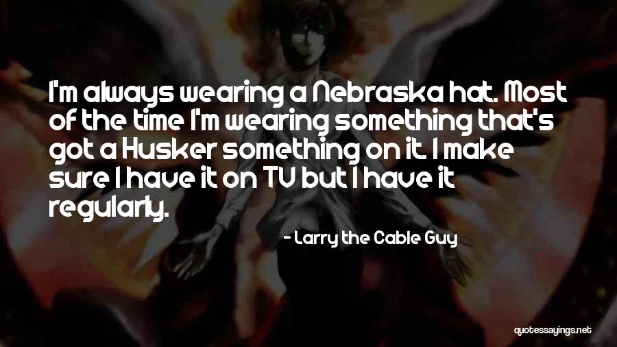 Cable Tv Quotes By Larry The Cable Guy