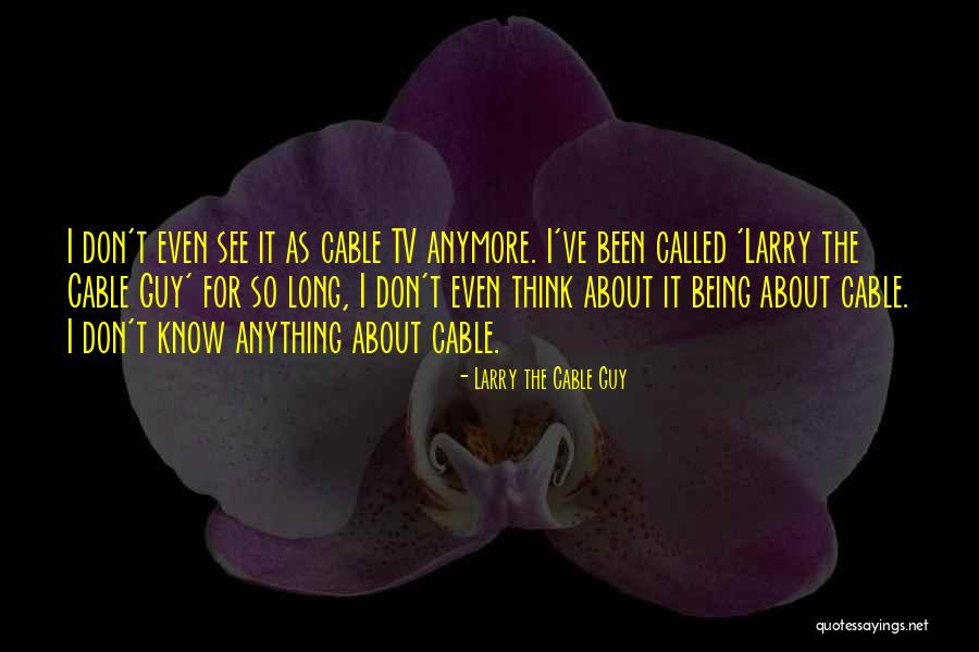 Cable Tv Quotes By Larry The Cable Guy