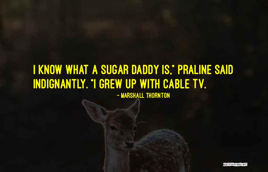 Cable Tv Quotes By Marshall Thornton