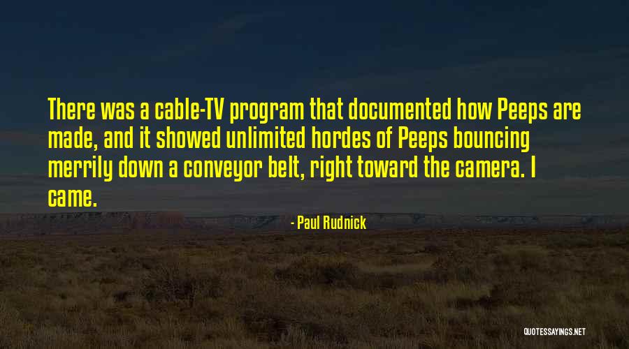 Cable Tv Quotes By Paul Rudnick