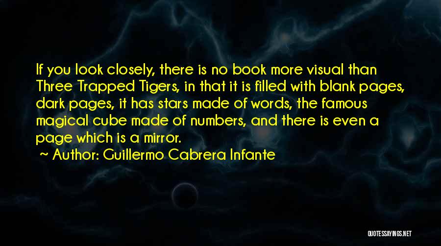 Cabrera Infante Quotes By Guillermo Cabrera Infante