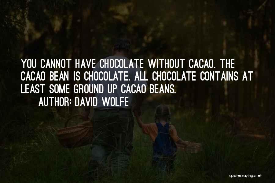 Cacao Quotes By David Wolfe