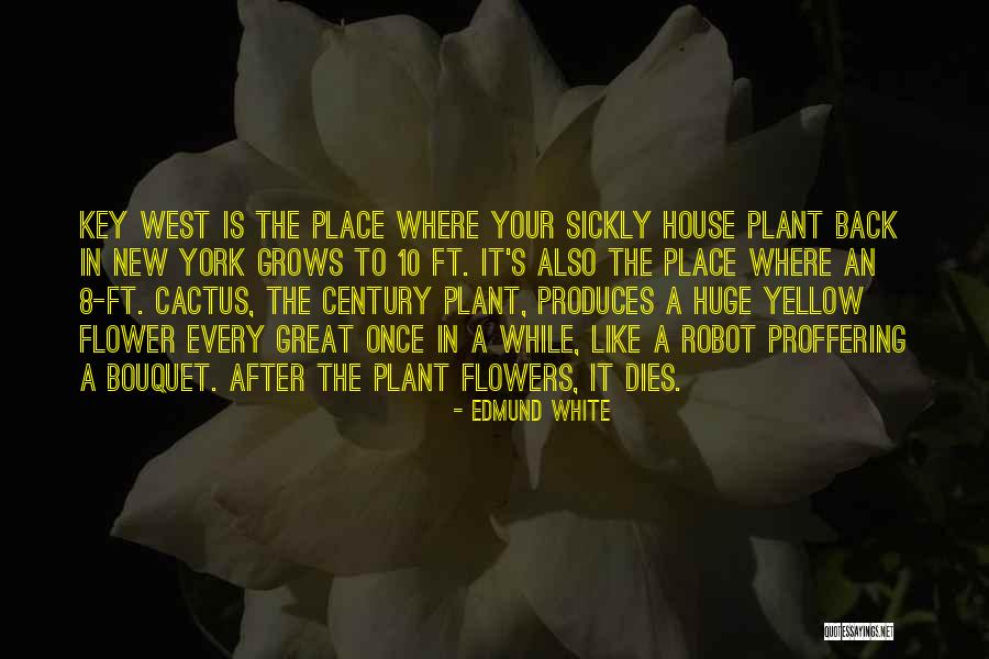 Cactus Flower Quotes By Edmund White Cactus Flower Quotes By Edmund White
