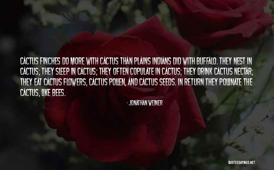 Cactus Flowers Quotes By Jonathan Weiner Cactus Flowers Quotes By Jonathan Weiner