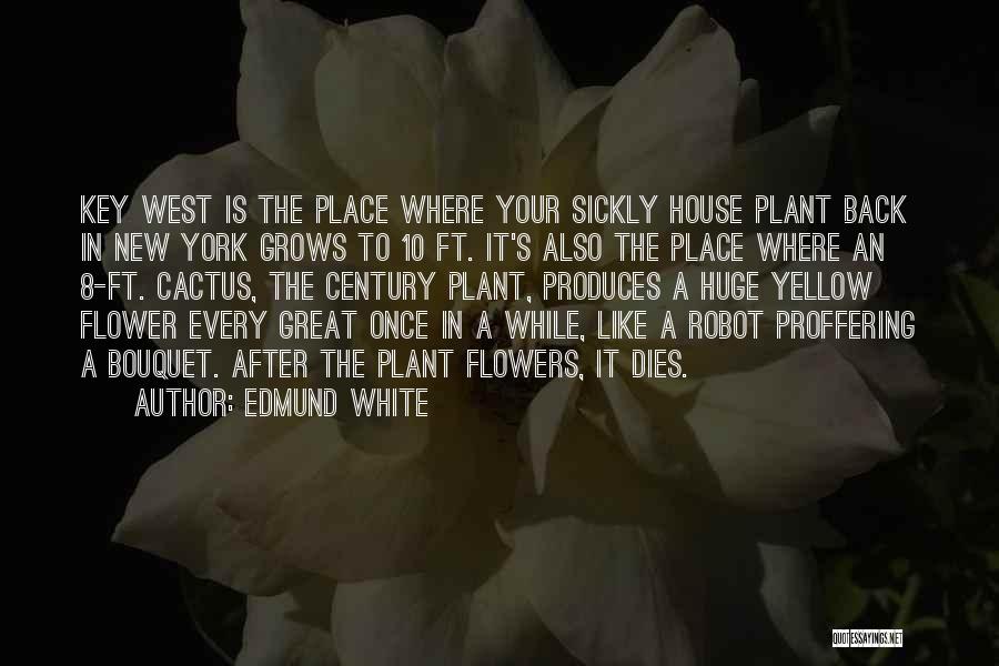 Cactus Plant Quotes By Edmund White