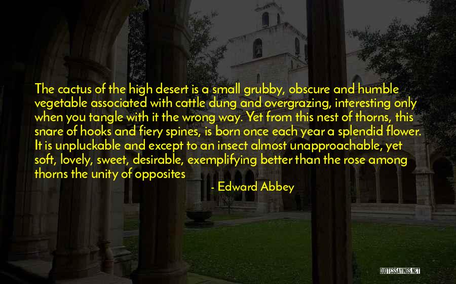 Cactus Thorns Quotes By Edward Abbey Cactus Thorns Quotes By Edward Abbey