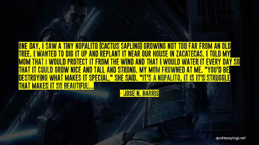 Cactus Tree Quotes By Jose N. Harris Cactus Tree Quotes By Jose N. Harris