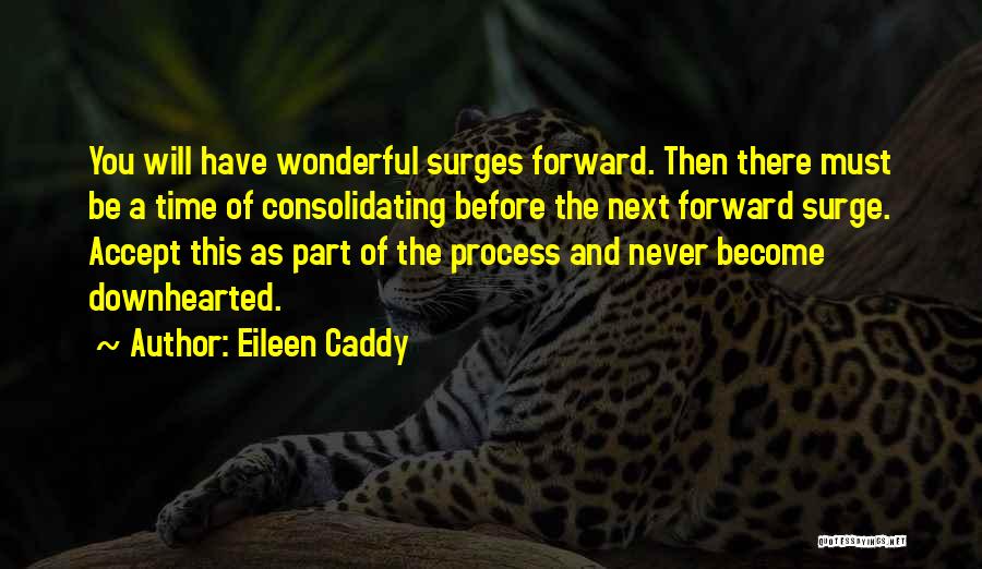 Caddy Quotes By Eileen Caddy